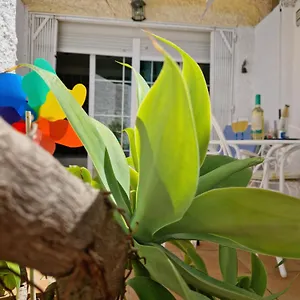 torremolinosappartement-avec-piscine-et-terrasse.es-andalucia.com/